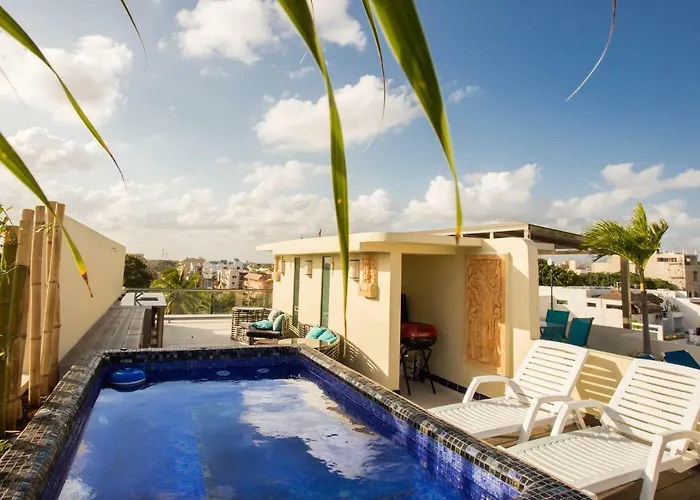 Aparthotel Mimosa Ph 33 *